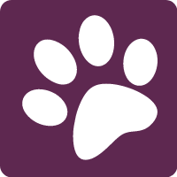 white paw print on purple background